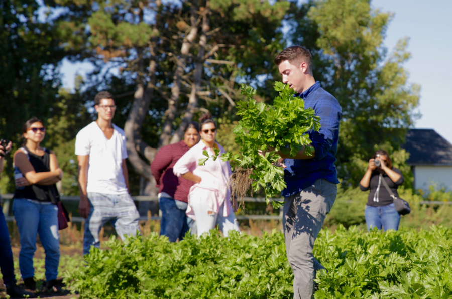 Farm Tours The New Farm, K2 Milling & Hillside Gardens